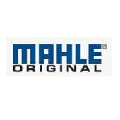 Mahle Products